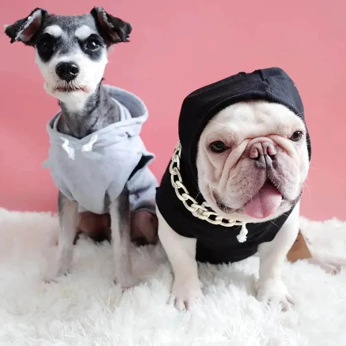 CIotiOFK8UoIpyAg - Nai Pet Store