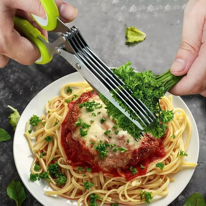 Hot Selling Stainless Steel Kitchen Scissors 5 Blades Herb Scissors