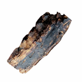 Kangaroo Lumber