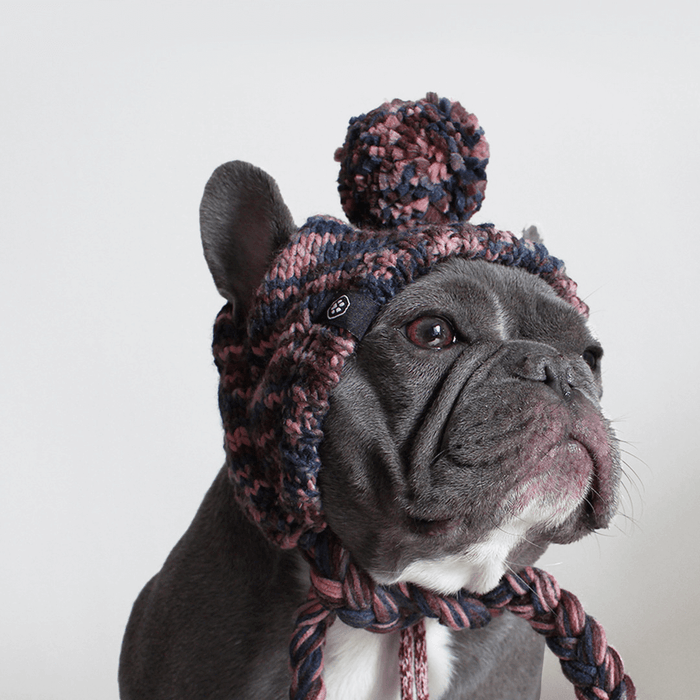 Hat - Brown / S (10-15lbs/4.5-7kg)