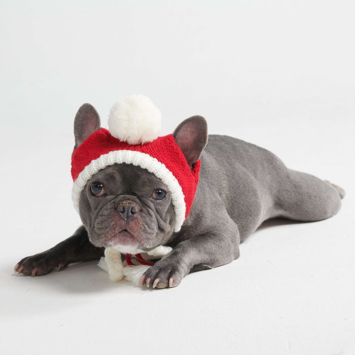 Hat - Santa / S (10-15lbs/4.5-7kg)