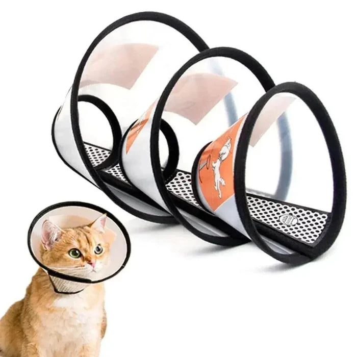 u2vkBZTxh58LJIAD - Nai Pet Store