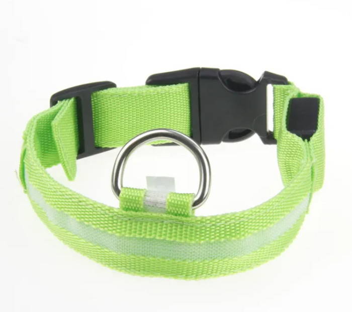 Bright green reflective dog collar with black buckle and metal ring for pet safety
