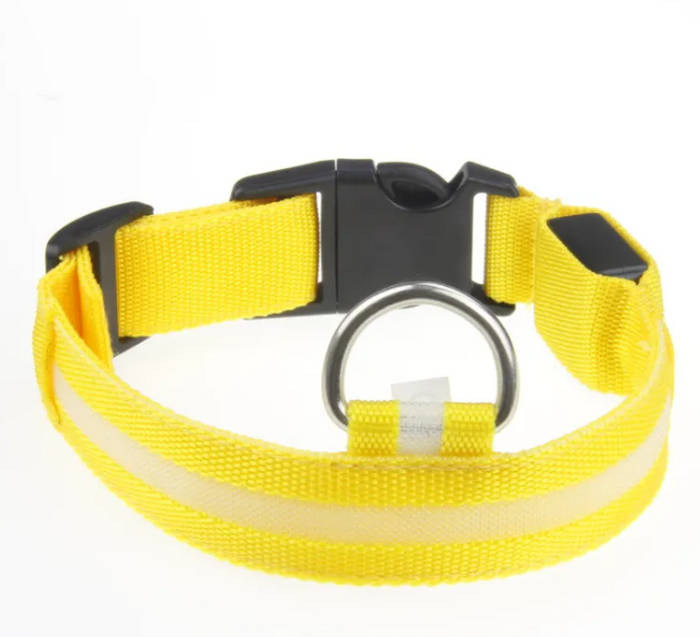 Bright yellow reflective dog collar with black buckle and metal ring for pet safety