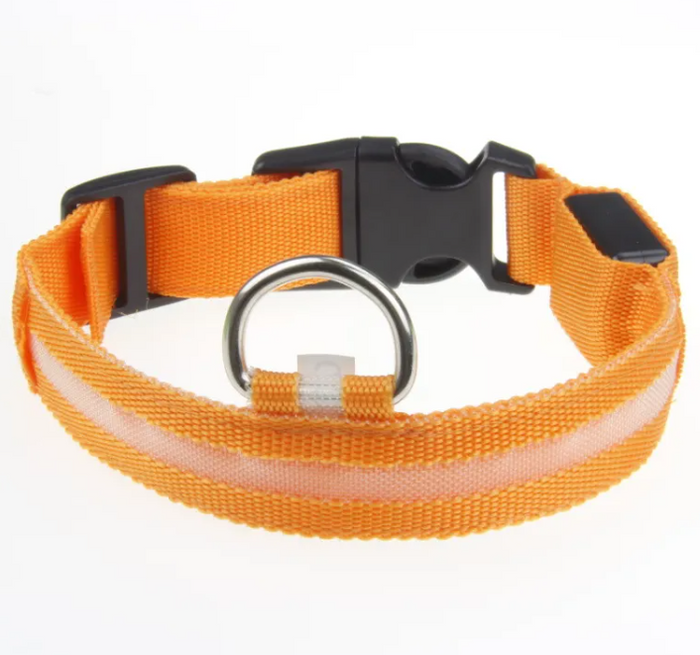 Bright orange dog collar with reflective stripe and black buckle for pet safety