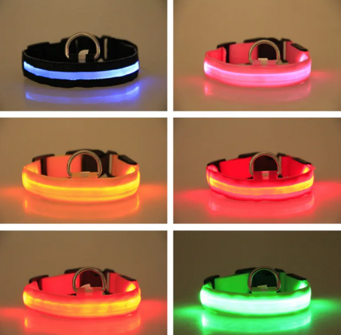 LED dog collars in blue, pink, orange, red, yellow, and green for pet safety and visibility