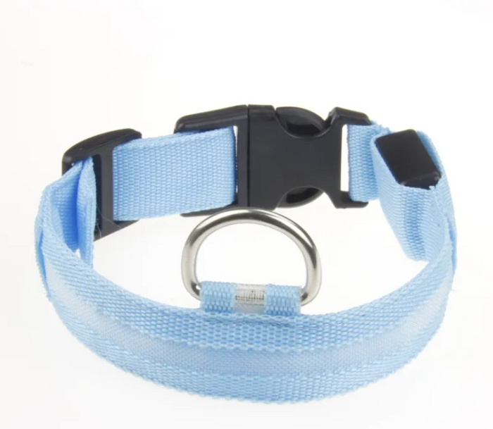 Light blue pet collar with black buckle and metal ring for dog or cat accessories
