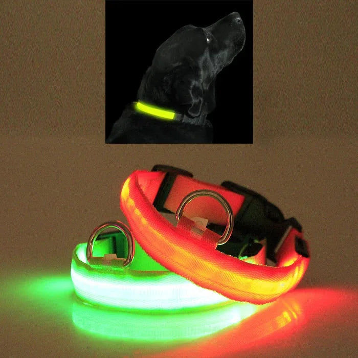 Glowing LED dog collars in red and green, shown with black dog wearing yellow collar for night safety.