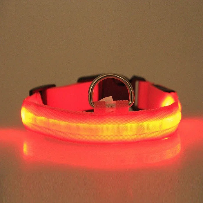 Glowing red LED dog collar for night safety, pet accessory with bright light