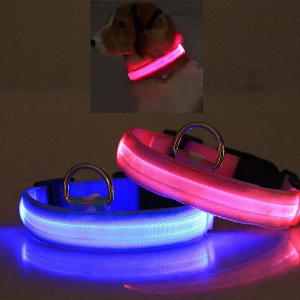 Glowing LED dog collars in blue and pink, shown with a pup wearing pink for night safety
