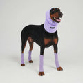 Leg Warmer and Earmuff Protector Set - Purple