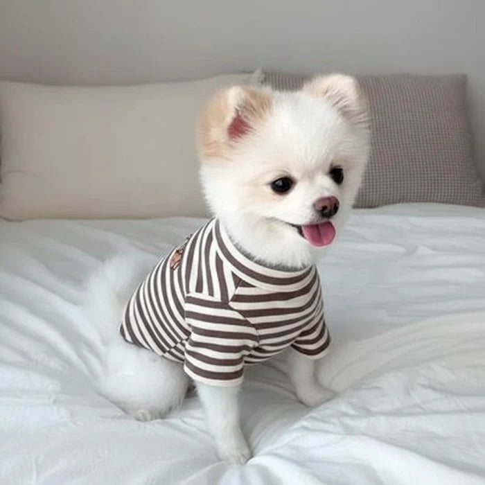 VLpZGk7aj8cwf3I6 - Nai Pet Store