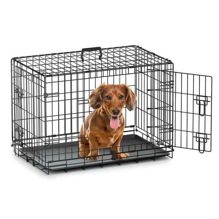 Pp338UsxkRWZ9dlv - Nai Pet Store