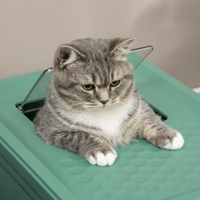 Grey tabby cat lounging on mint green pet bed with clear side panels, ideal for cat comfort and care.