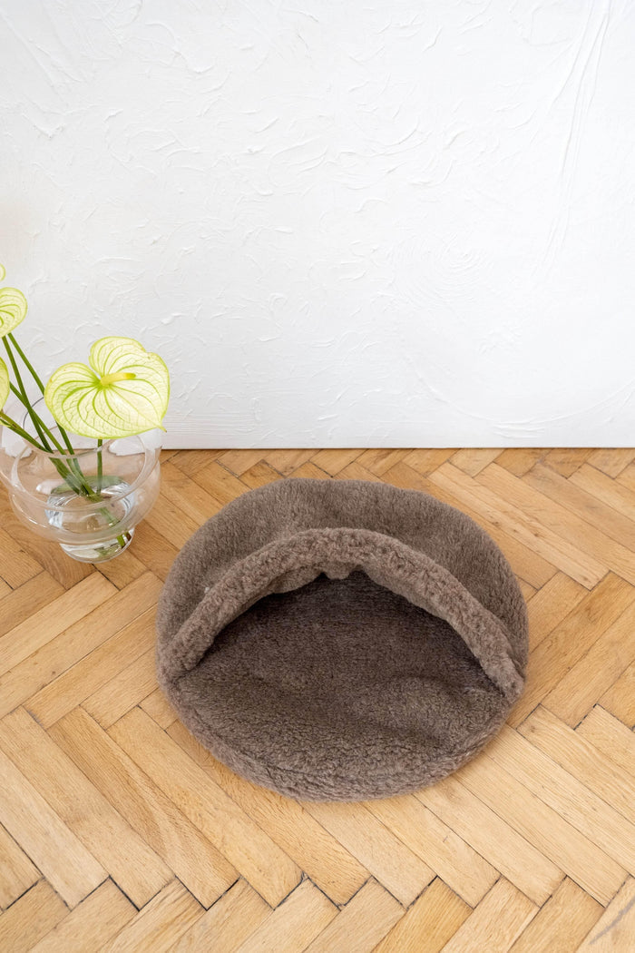 MSG_9872 - Nai Pet Store