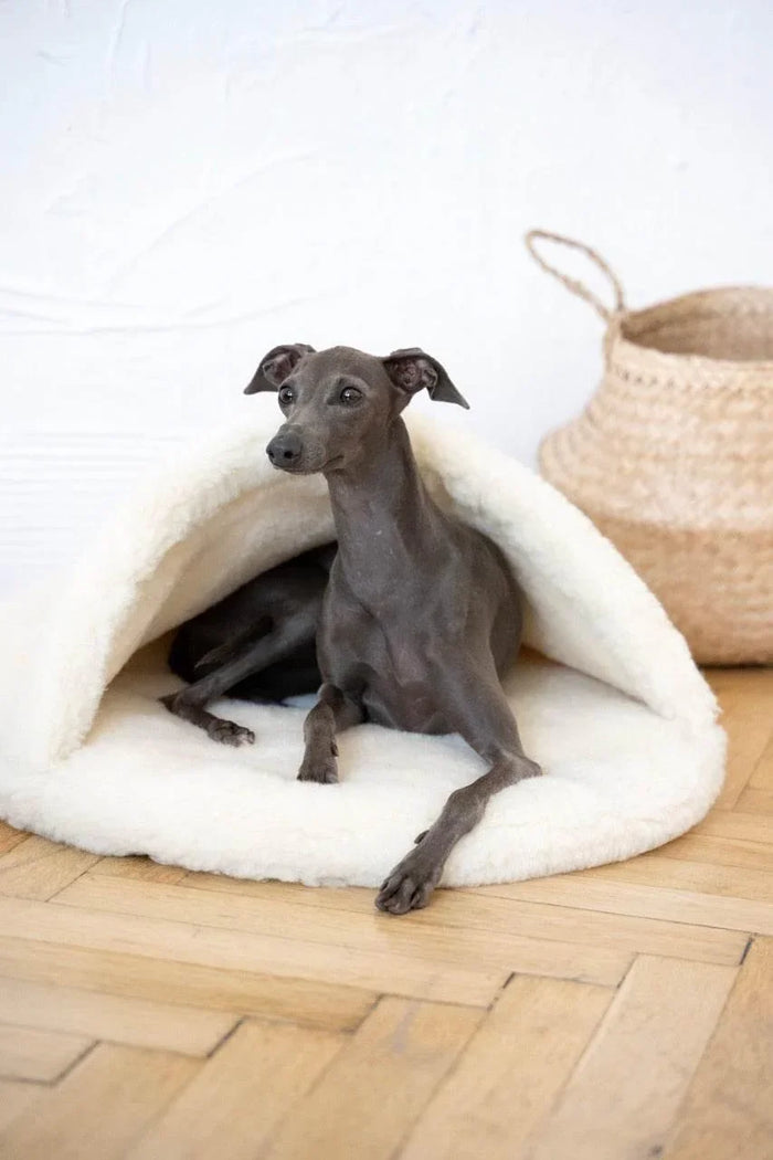 MSG_4842_Large_8591b91f-7b9c-4396-8833-9354550210a6 - Nai Pet Store
