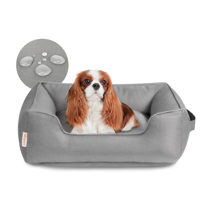 Cavalier King Charles Spaniel in gray waterproof dog bed, cozy pet accessory for small dogs