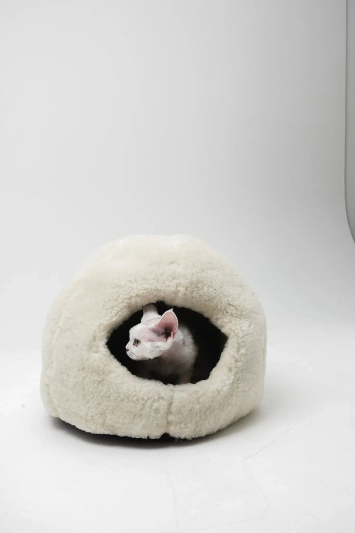 Cozy white cat cave bed with Sphynx cat inside, soft pet house for cats