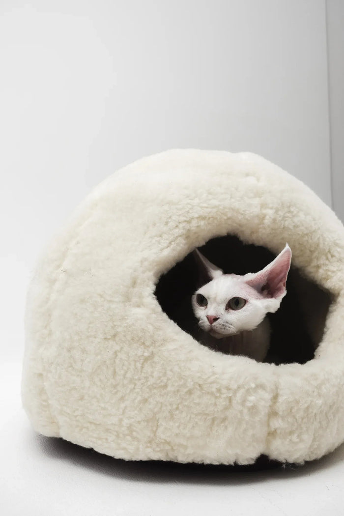 White cat peeking from cozy cream cat cave bed, soft pet nest for cats