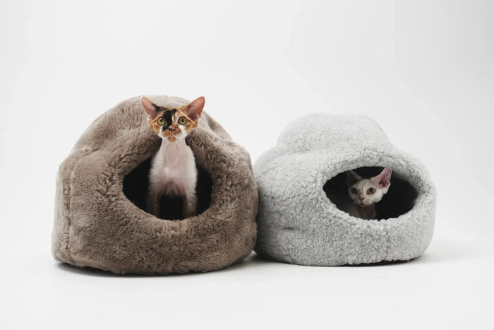 Two cats in cozy plush cat beds, perfect for pet comfort and warmth