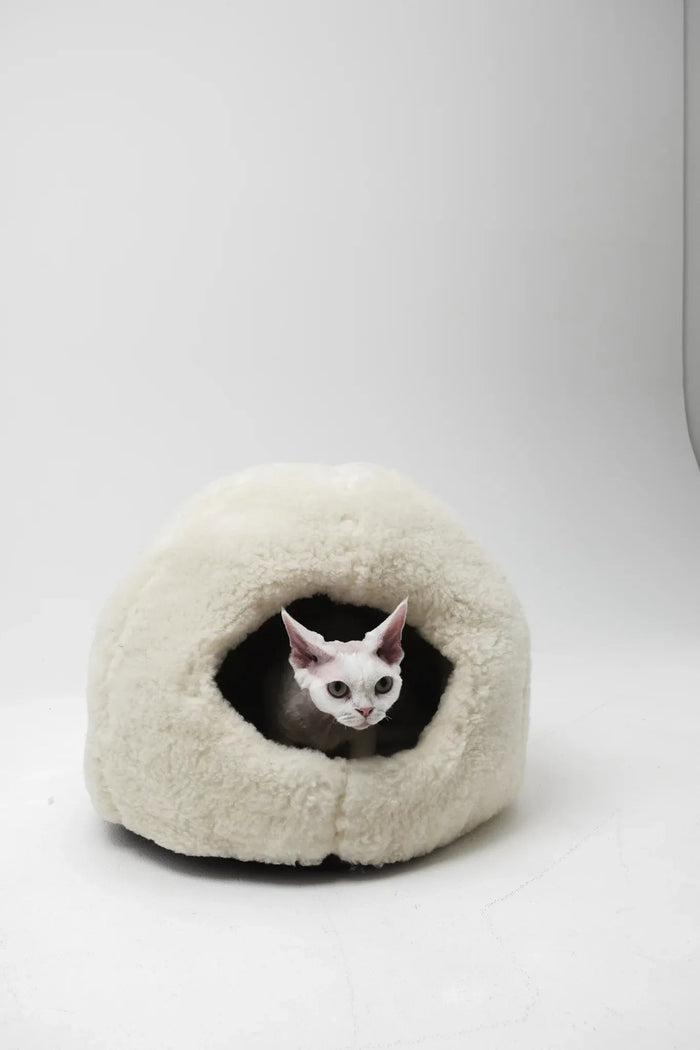 Fluffy white cat cave bed with Sphynx cat peeking out, cozy pet hideaway for cats