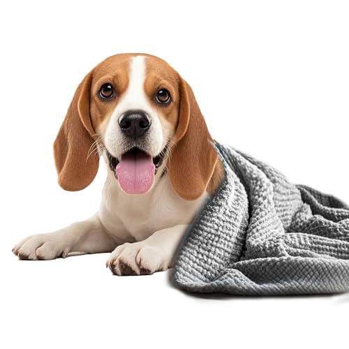 Happy beagle dog lying on a soft grey textured pet blanket.