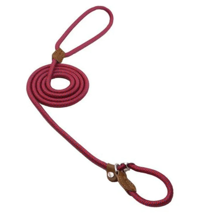 71ff186040f9bbdb0a91b7949533 - Nai Pet Store