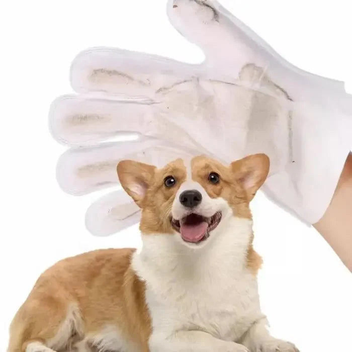 OEM/ODM Biodegradable Organic Easy to Carry Pet Gloves Finger Teeth