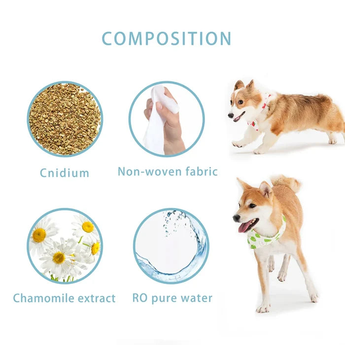 OEM/ODM Biodegradable Organic Easy to Carry Pet Gloves Finger Teeth