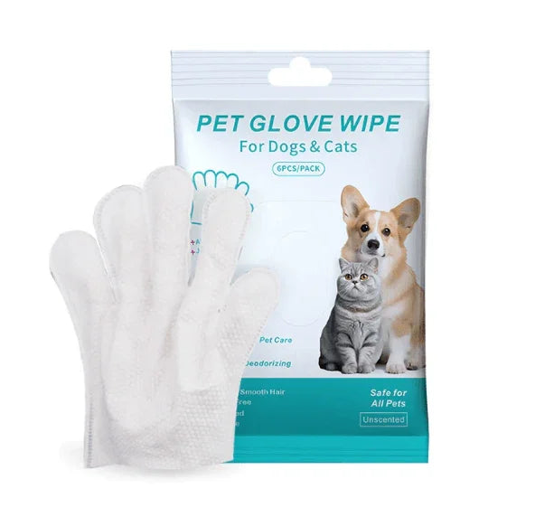 44c4bf874d7da48b9b684975dff1 - Nai Pet Store