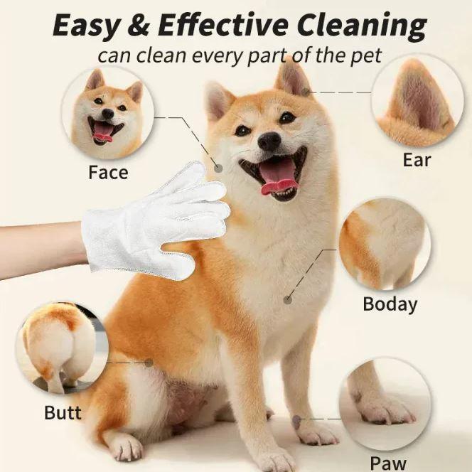 d1d75af440278af941b799dda1fa - Nai Pet Store