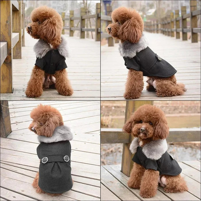 H30c98c94d97a4363881ace9c7a36e2bfw - Nai Pet Store