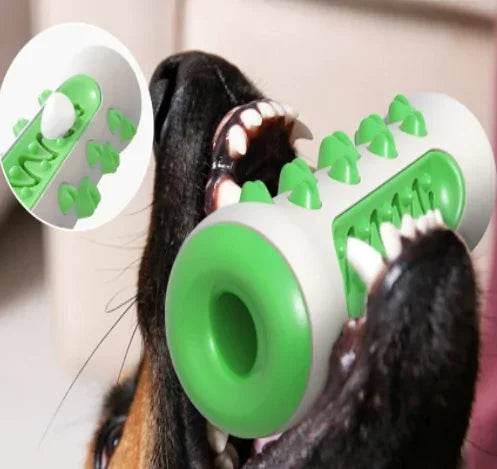 Dog chewing green and white dental chew toy with textured ridges for pet dental care