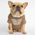 French Bulldog wearing funny 'I still live with my parents' shirt, cute pet apparel