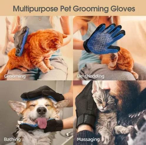u3cRaKJvn0TfB6zv - Nai Pet Store