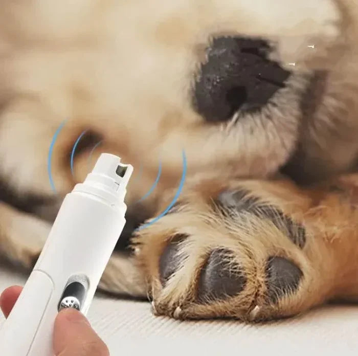 twda6GE3gFmjTphm - Nai Pet Store