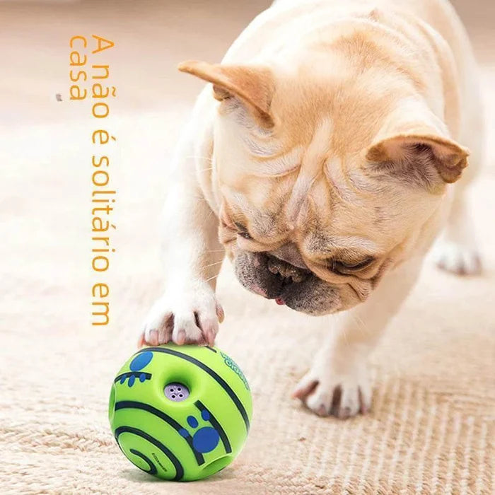 18DCW89eWBdFY07T - Nai Pet Store