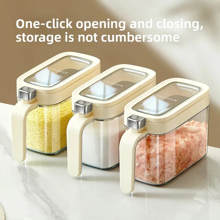 Plastic Condiment Box Viewing Window Airtight Spice Storage Set for