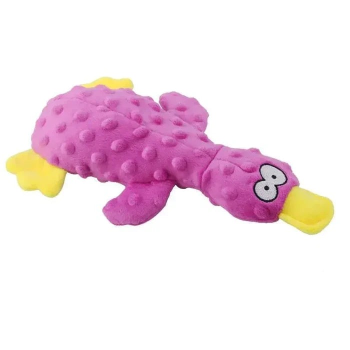 OIFVjSJWz9xSeh5g - Nai Pet Store