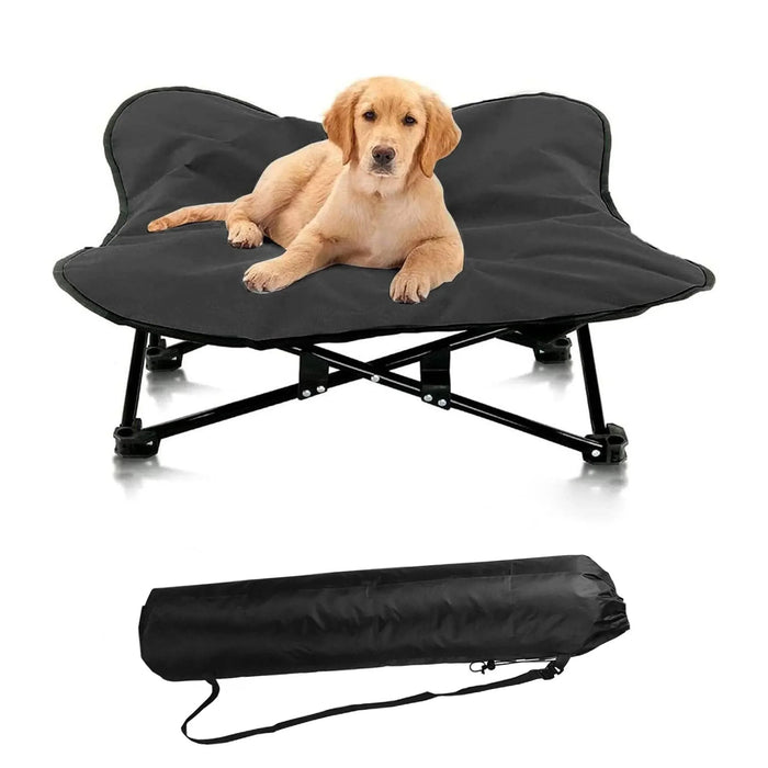 a3aea9ae-b49a-46e0-ad60-adb129340c0f - Nai Pet Store