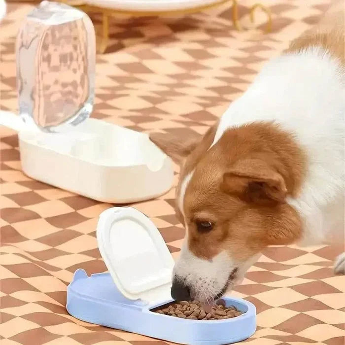 g81JxDV7VDyfMJN2 - Nai Pet Store