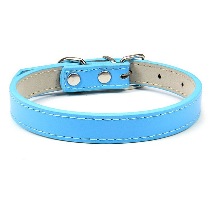 Lake blue / XS