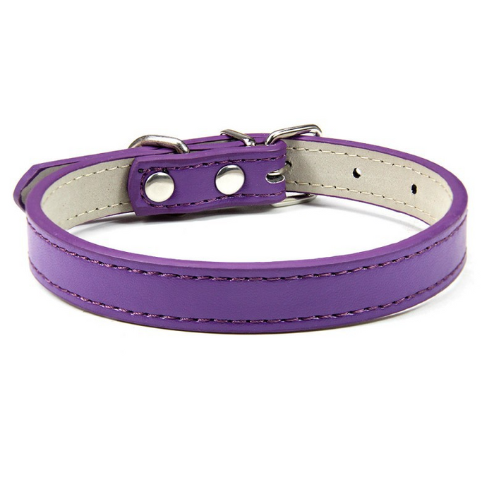 Purple / XS