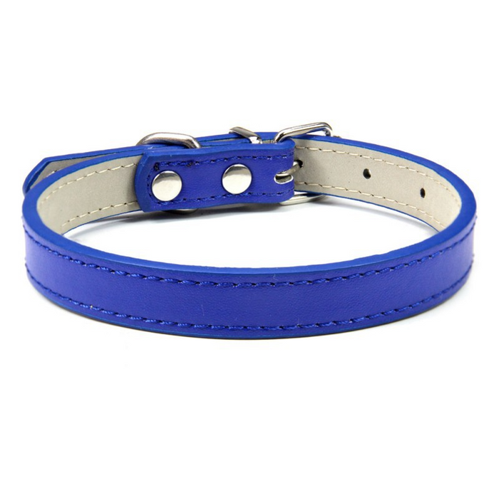 Royal Blue / XXS