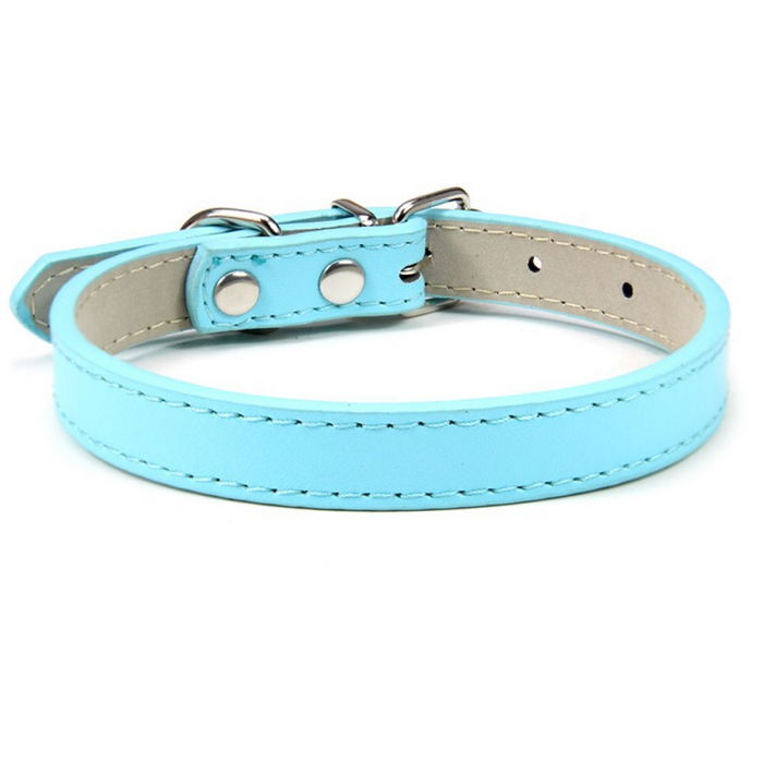 Sky Blue / L