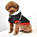 Adorable poodle in cozy black dog jacket with red trim and white fleece hood, perfect for pet fashion and warmth.