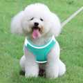 Fluffy white dog wearing teal mesh harness on grass, happy with tongue out, perfect for pet walks and outdoor play.