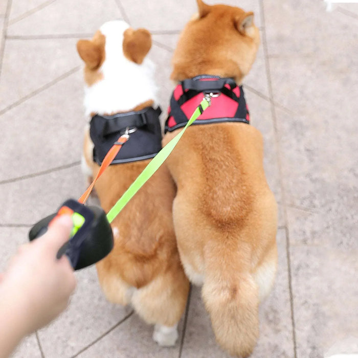 3B0C7524ACF51D3A4E2555C6C16DB198-c0b7d8eb-05eb-4cf9-adb2-b24c498a39d9-_2 - Nai Pet Store