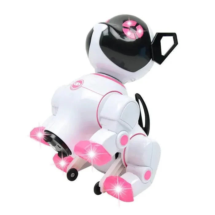nICFM1ljDxajtO9a - Nai Pet Store