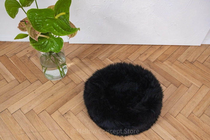 DSCF4071 - Nai Pet Store